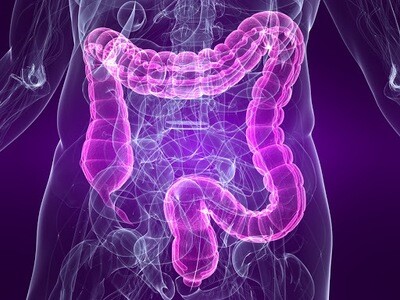 Gastro-Intestinal (GI) Health