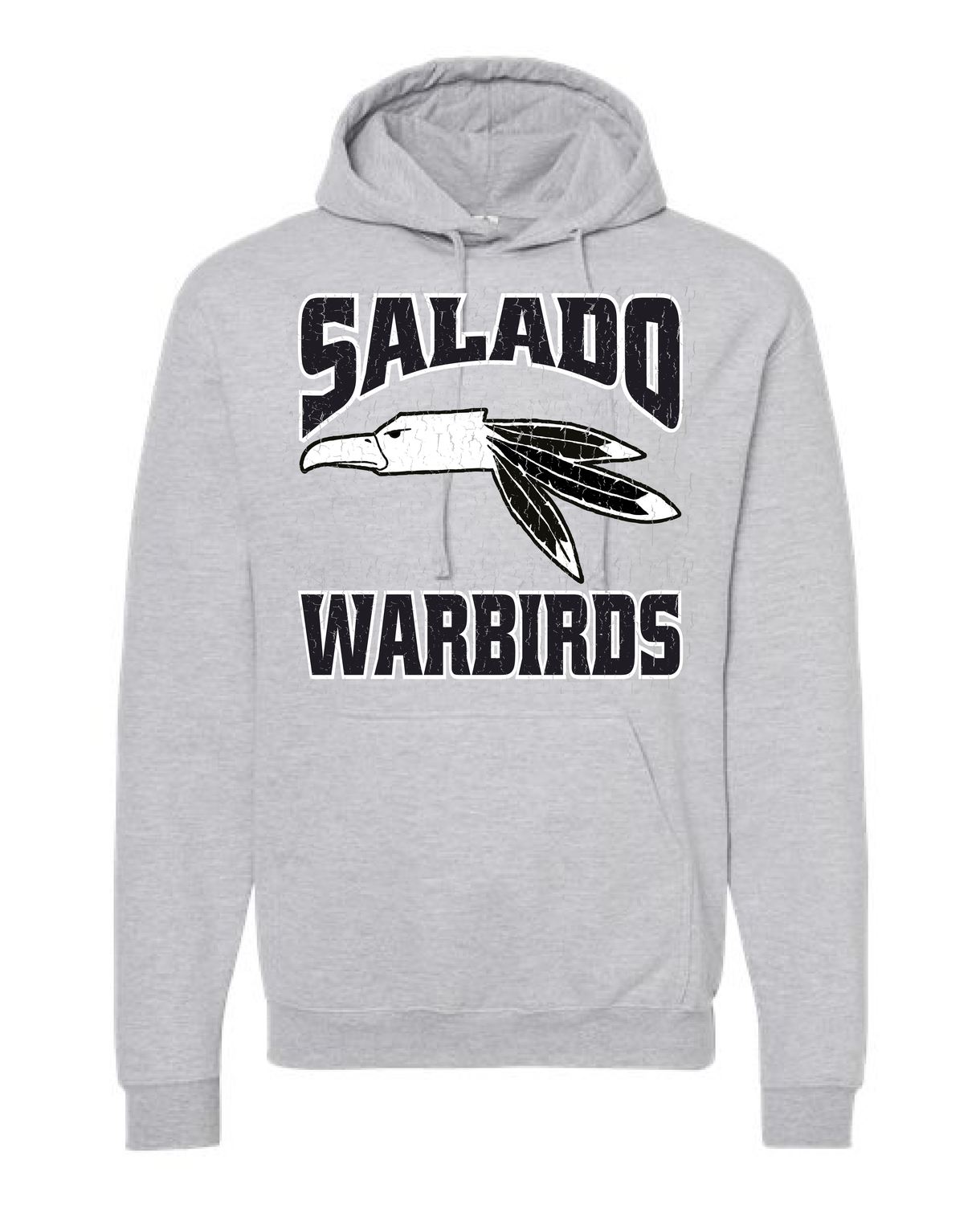 VINTAGE WARBIRD HOODIE