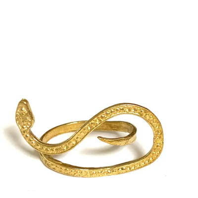 Eris Snake Adjustable Brass Ring
