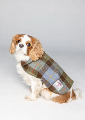 Dog Coat, Harris Tweed