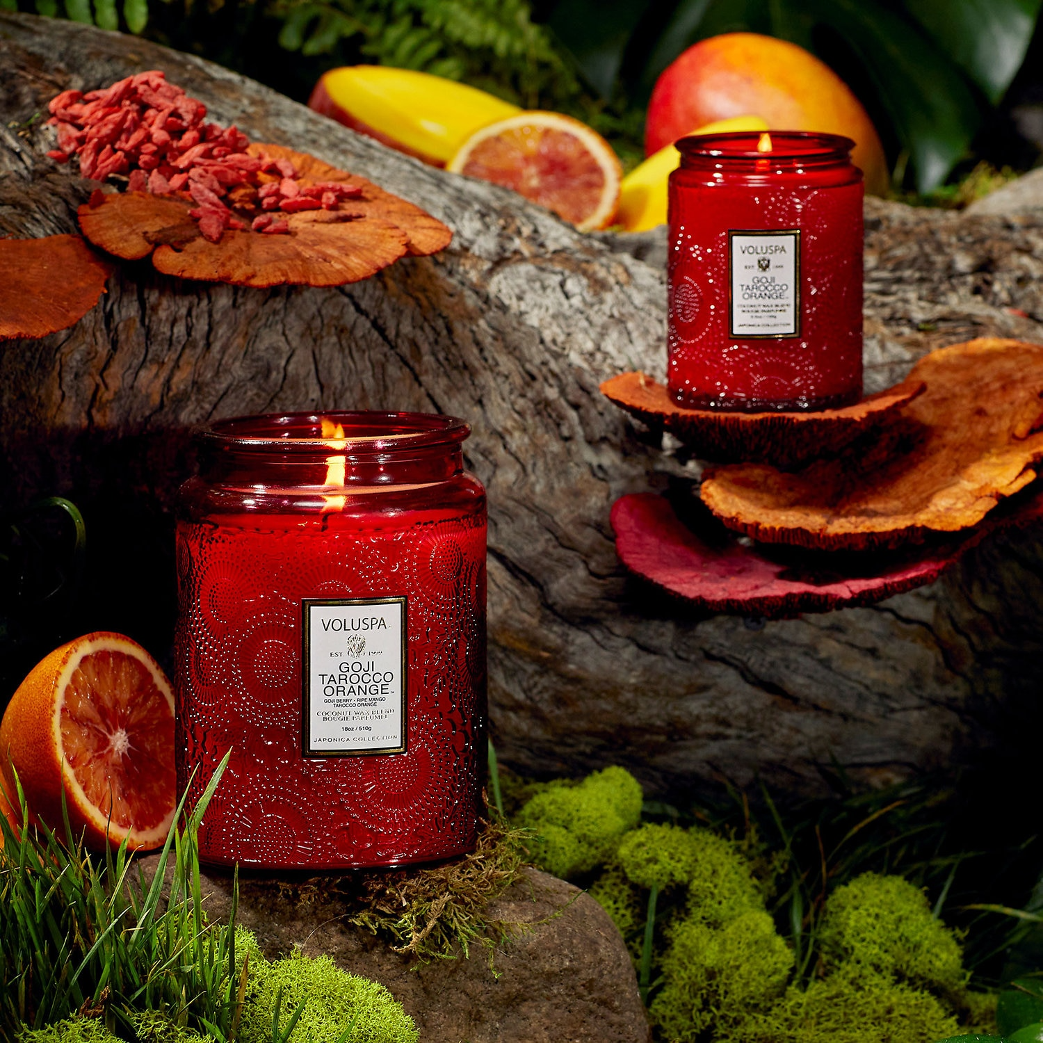 Goji Tarocco Orange Large Jar Candle - 18 oz