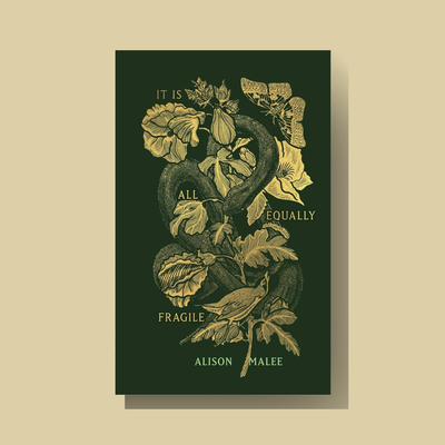 It Is All Equally Fragile Poetry Book