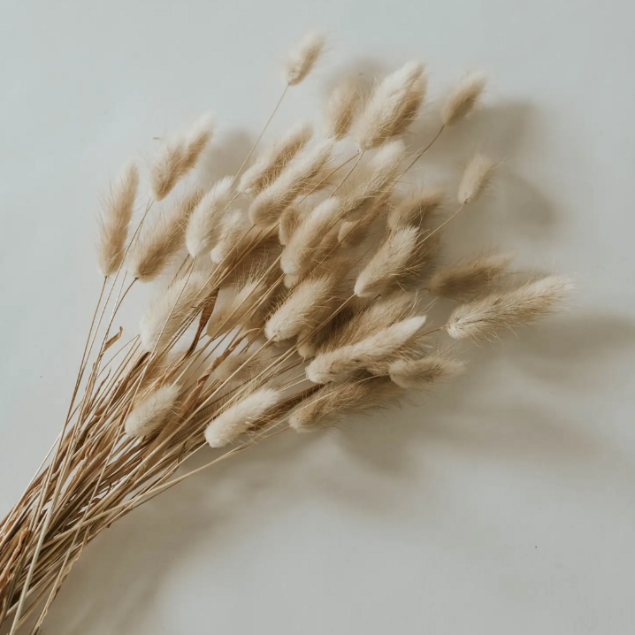 Natural Bunny Tails
