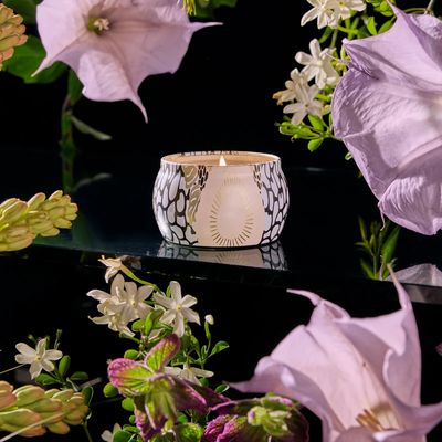 Jasmine Midnight Blooms Mini Tin - 4 oz