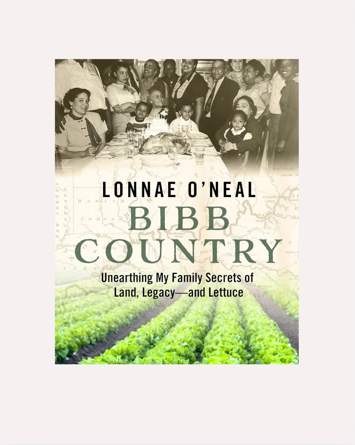 Bibb Country by Lonnae O&quot;Neal