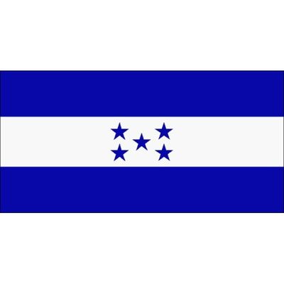 Decaf SWP - Honduras (Light)