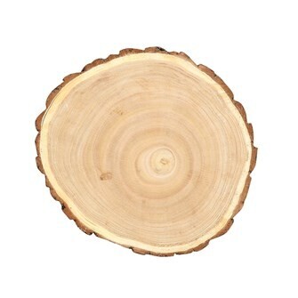 Paulownia Wood Slice 8 3\4"