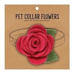 Pet Collar Flower Raspberry