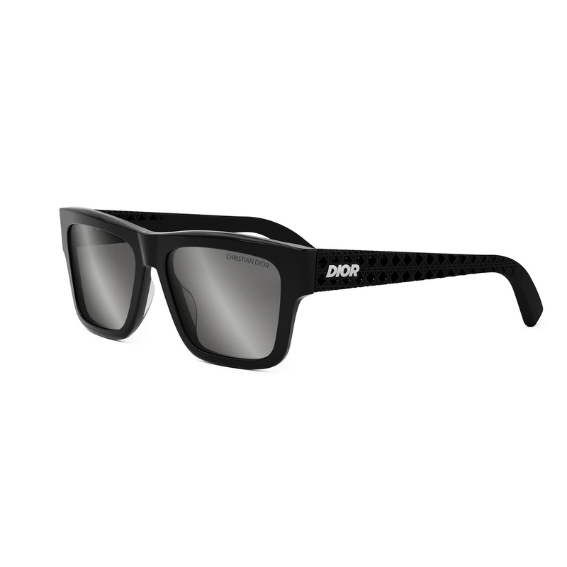 DIOR3D S2I
