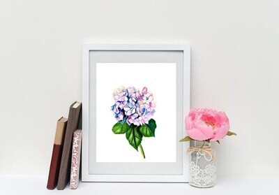 Hydrangea watercolor painting print botanical art