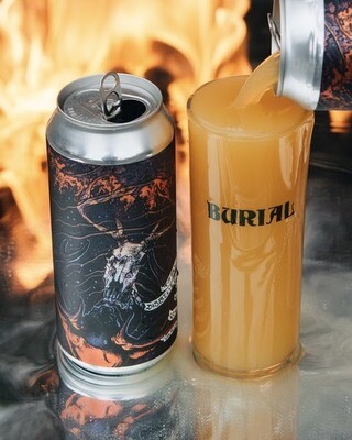 Burial Total Disbelief In All Reality IPA 4pk