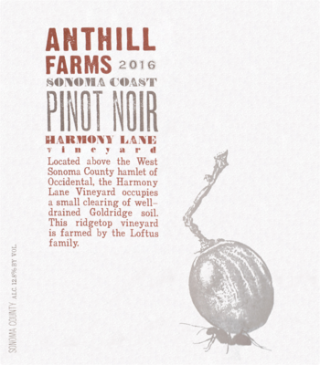 Anthill Farms 2020 Harmony Lane Vineyard Pinot Noir