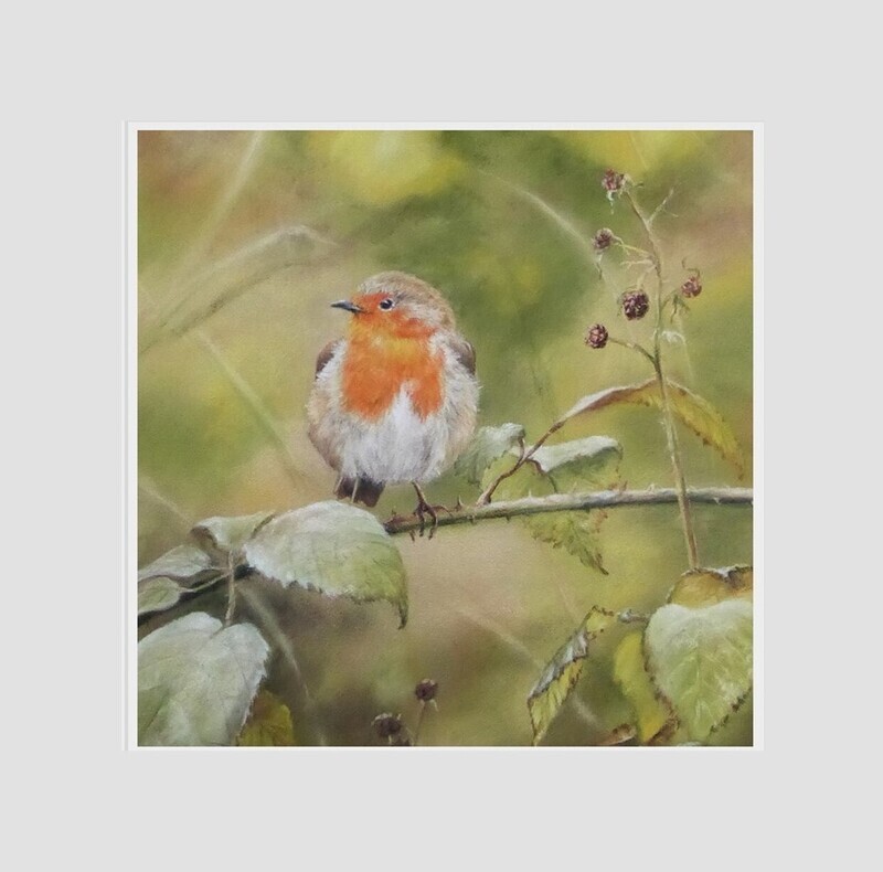 Robin (print)