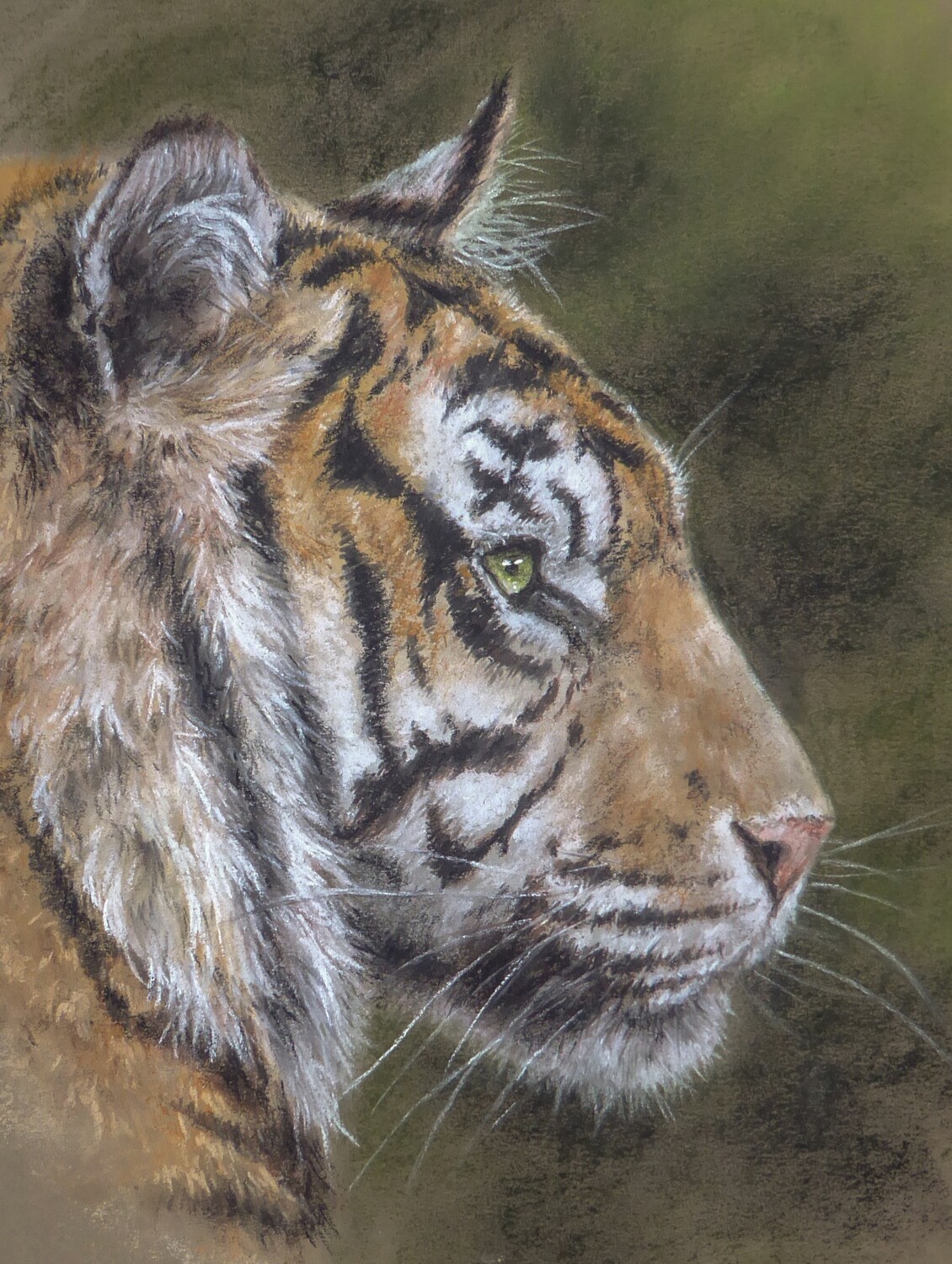 Tiger (print)