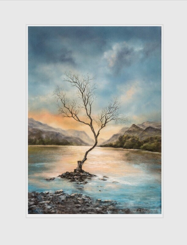 The Lonely Tree
