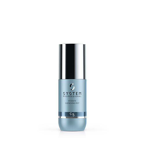 HYDRATE QUENCHING MIST SYSTEM PROFESSIONAL