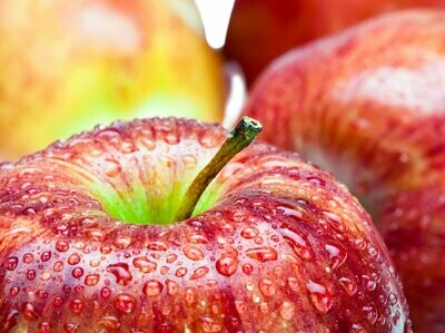 Macintosh Apple Jar Candle (Large)