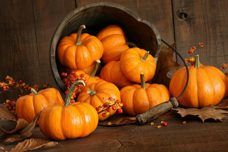 Pumpkin Spice Wax Melt