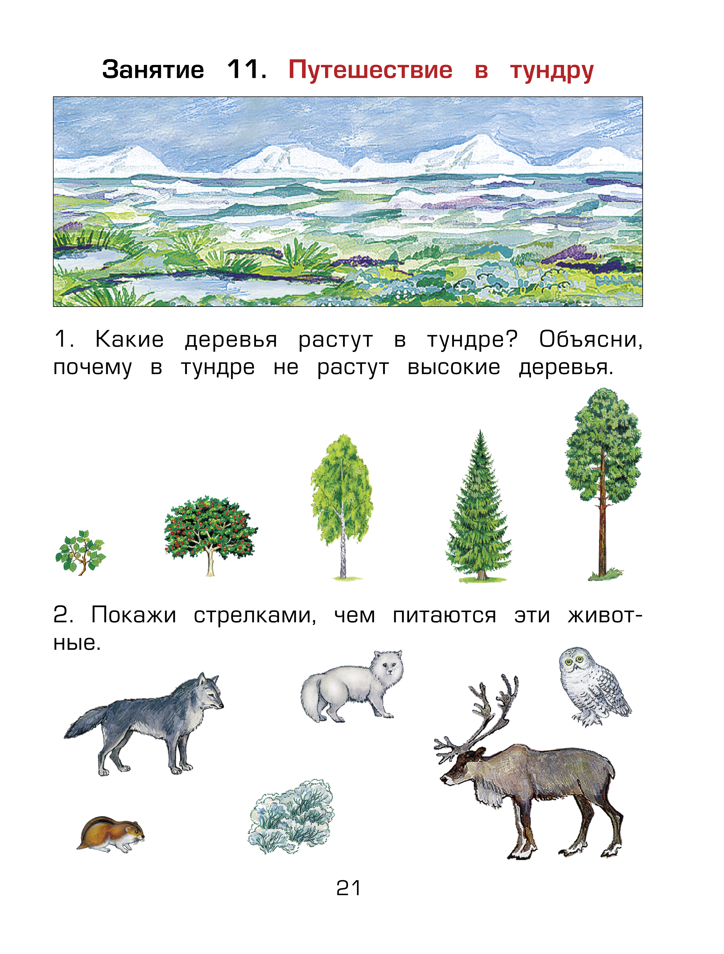 Почему в тундре совсем не растут деревья. Какие деревья в тундре. какие деревья растут в тундре. какие рдеревьятв тундре. что растет в тундре деревья.