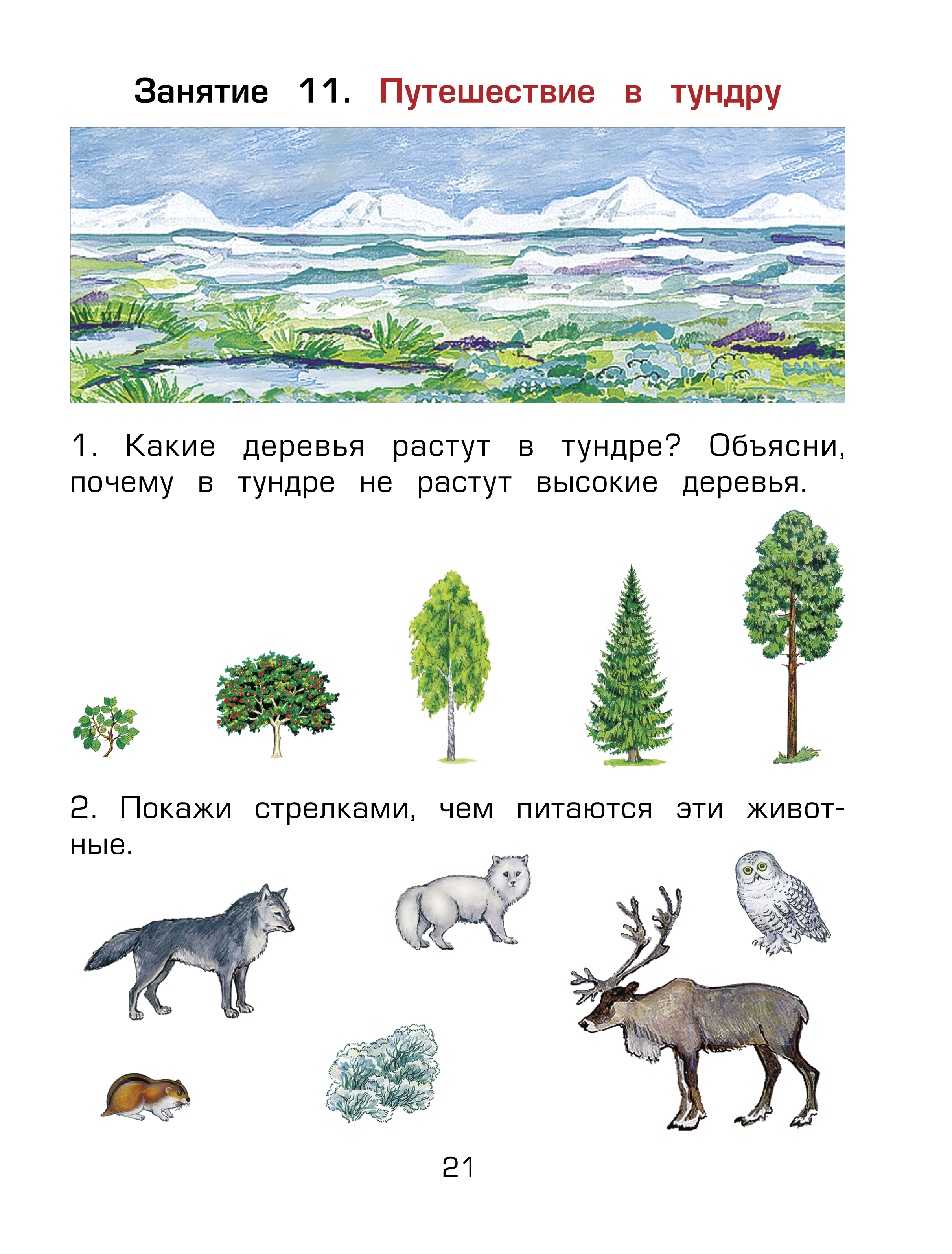 Какие деревья в тундре. Какие деревья растут в тундре. Какие рдеревьятв тундре. Что растет в тундре деревья.