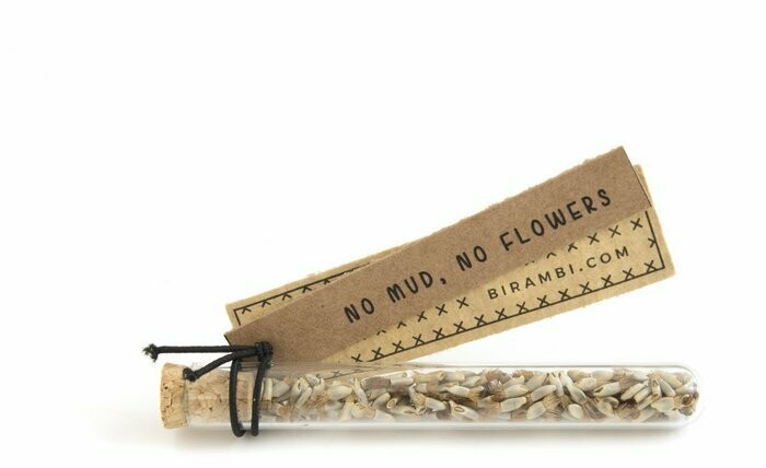 Little Gift - Flower seeds