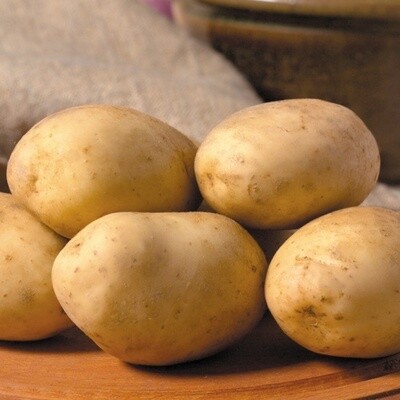 Baking Potatoes - Each