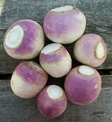 Turnip 500g