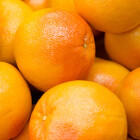 Oranges Medium, pack of 4