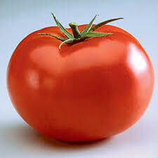 Beef Tomato. Large sweet tomatoes