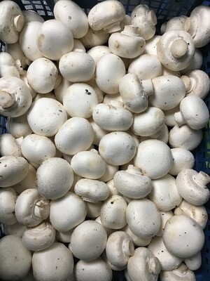 Button Mushroom 225g
