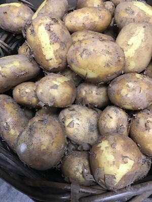 Lincolnshire New Potatoes. - 400g