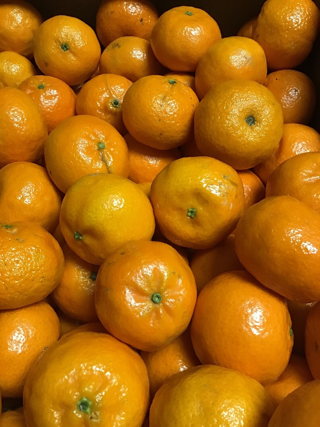 Clementines. Pack of 4