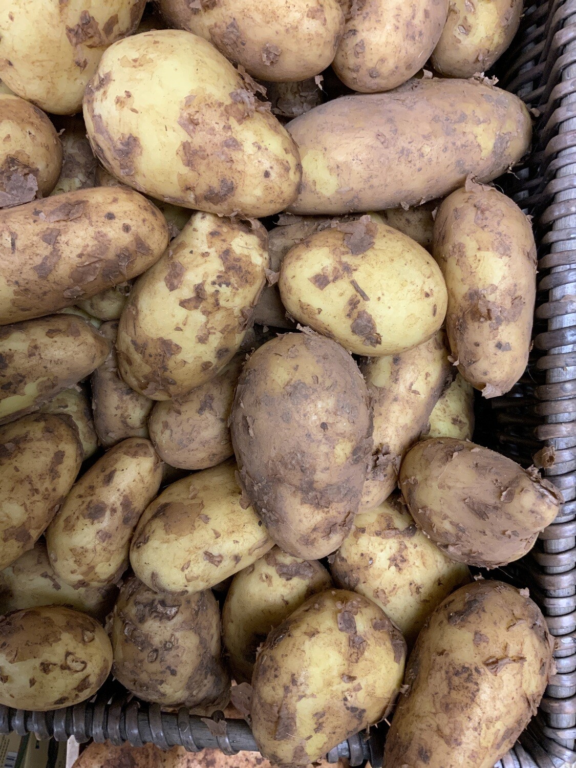 New Potatoes - New Season Mallorcan. Scrapers. 500g