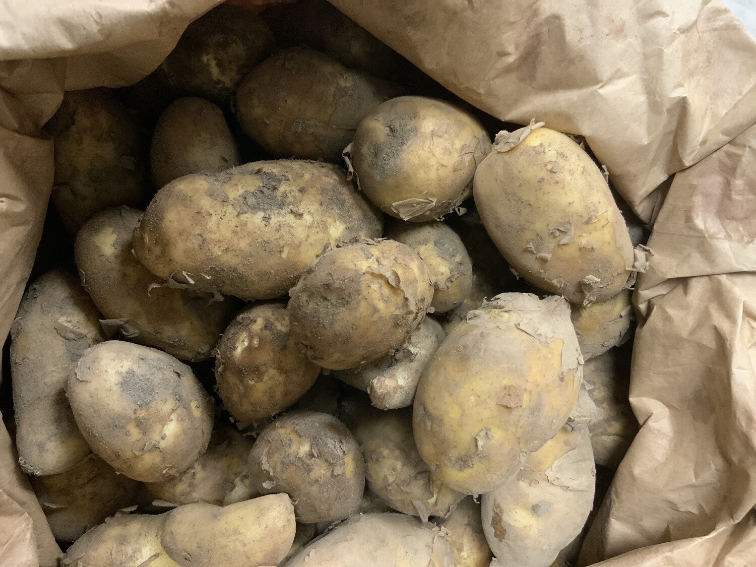 Jersey Royal Potatoes. New season. 450g pack