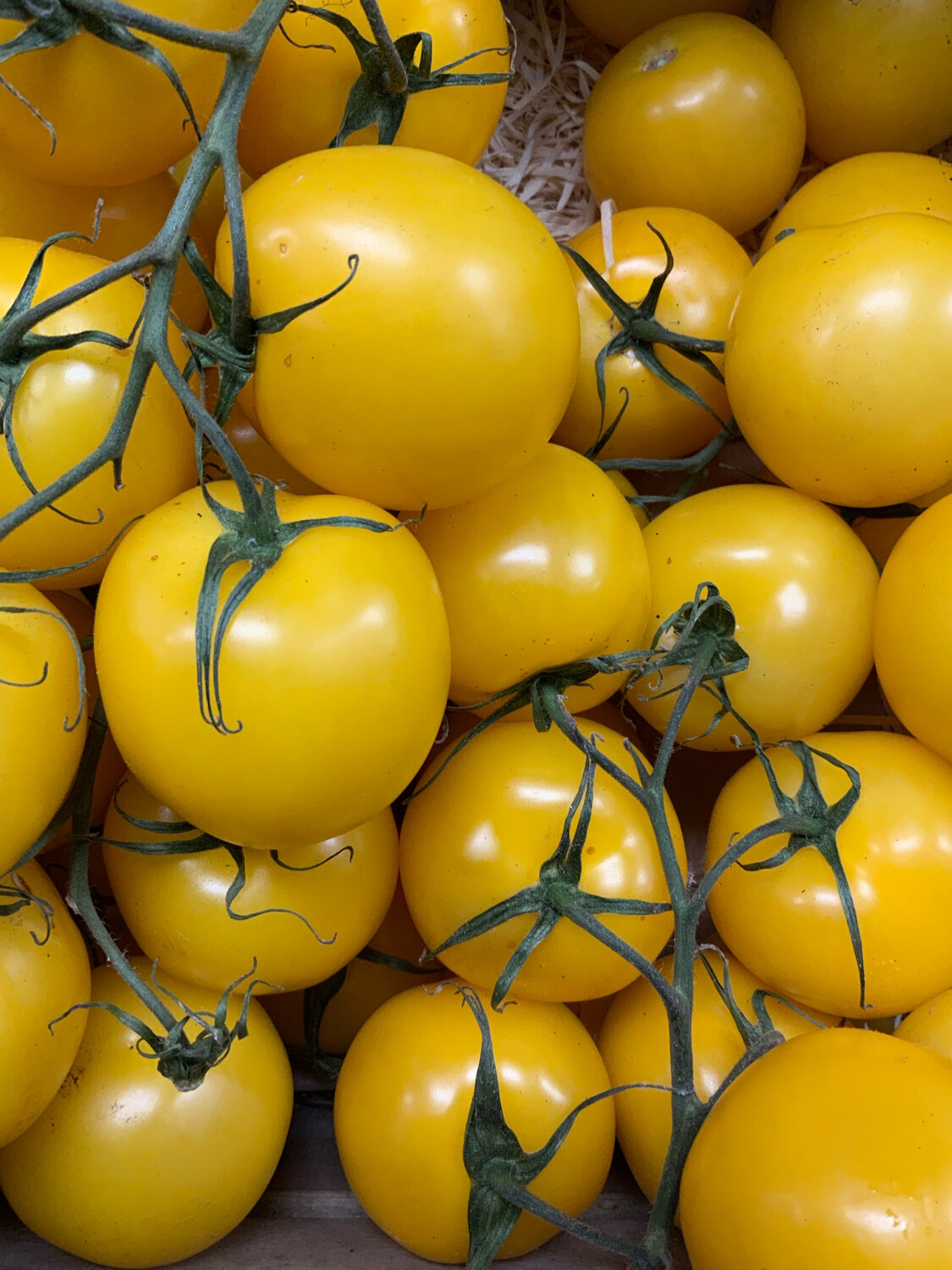 Yellow Vine Tomatoes, 500g Pack