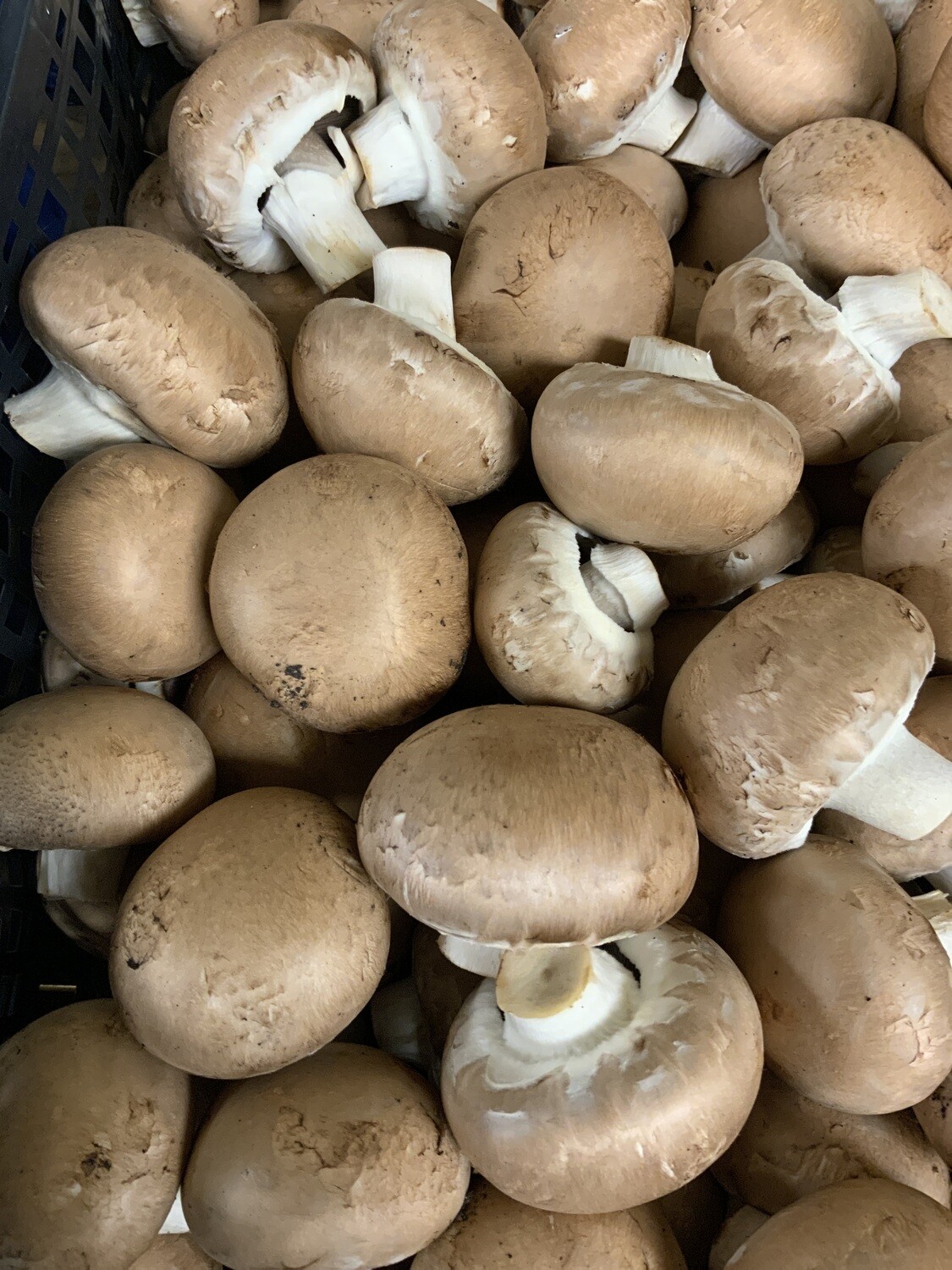 Chestnut Brown Mushrooms 250g pack