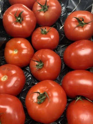 Beef Tomatoes.    500g