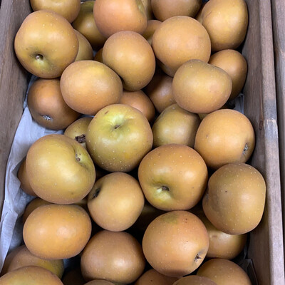 English Russet Apples. Each