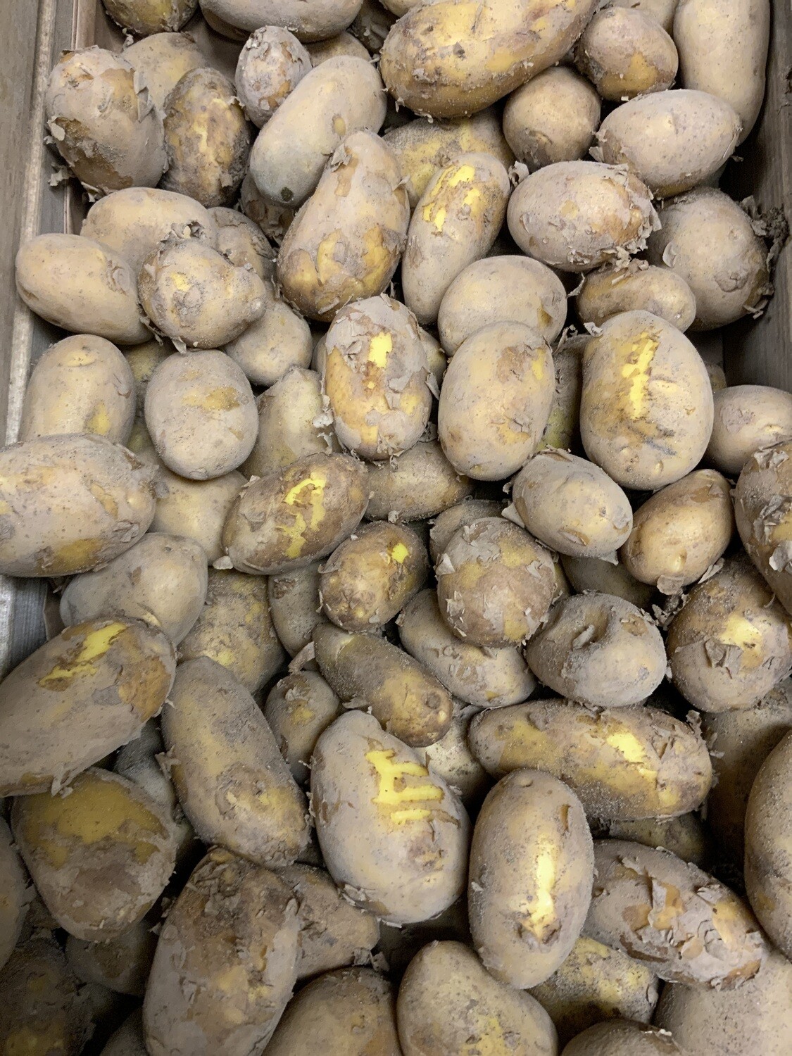 New Potatoes.  Italian scrappers. 1kg