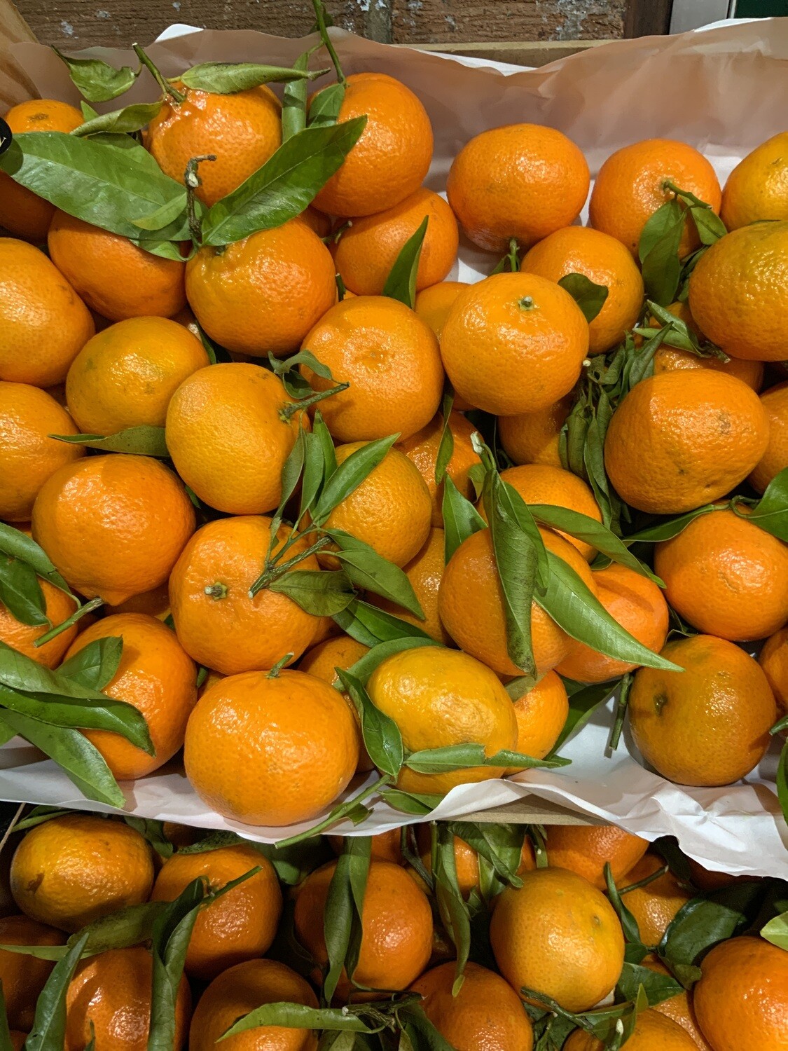 Clementines Leafy.  Pack 5