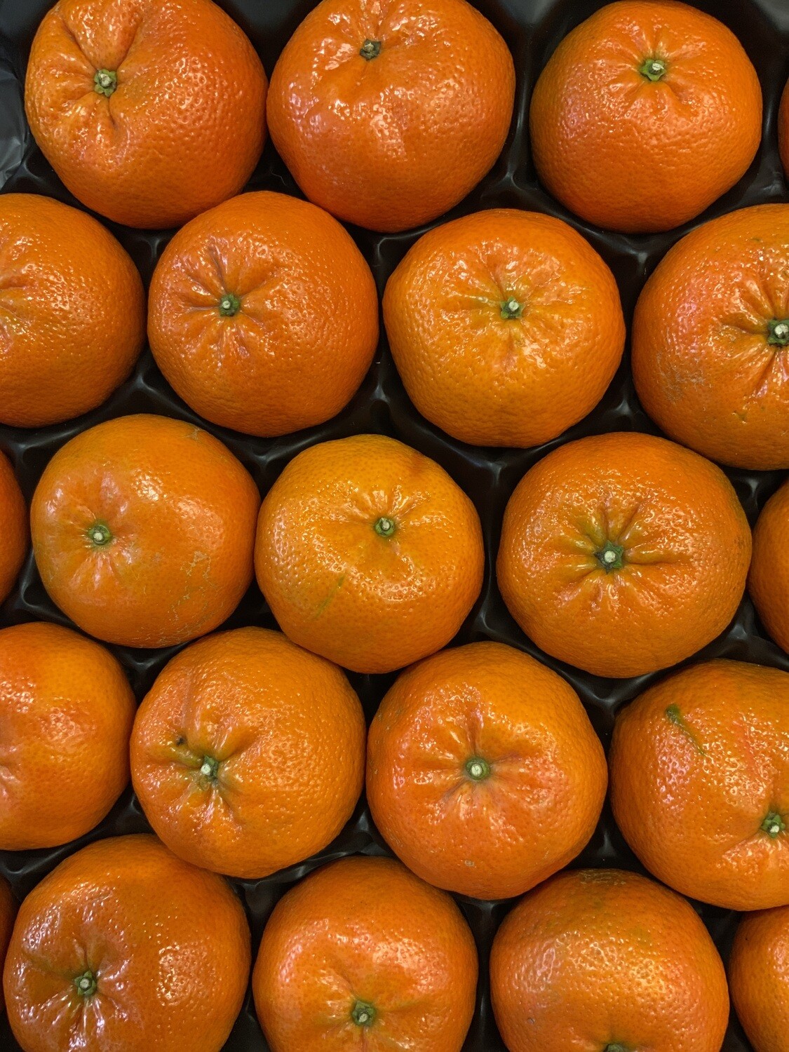 Clementines.  Large. Pack of 3