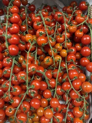 Cherita Tomatoes on the Vine - one Truss.