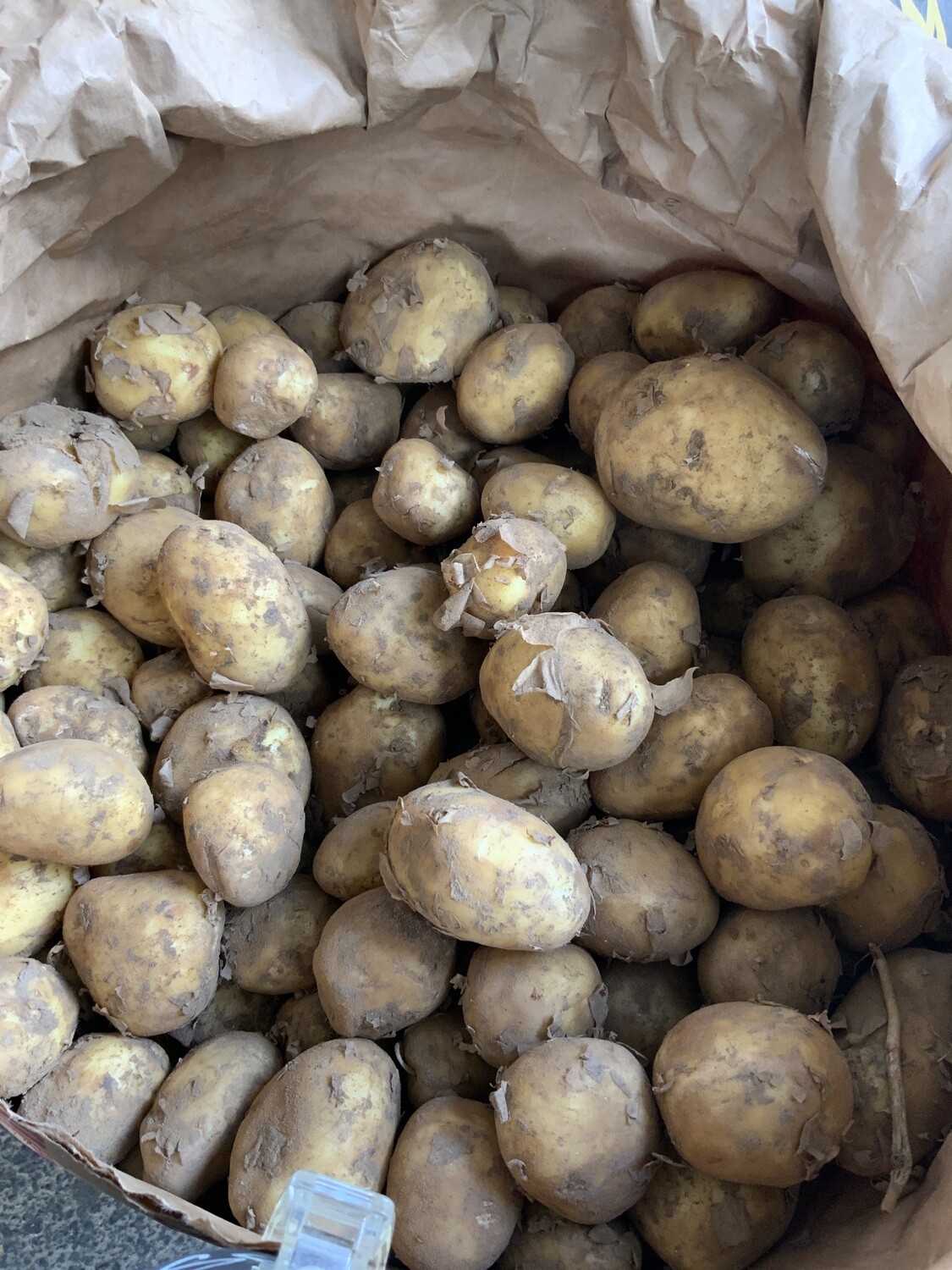 Lincolnshire New Potatoes  500g