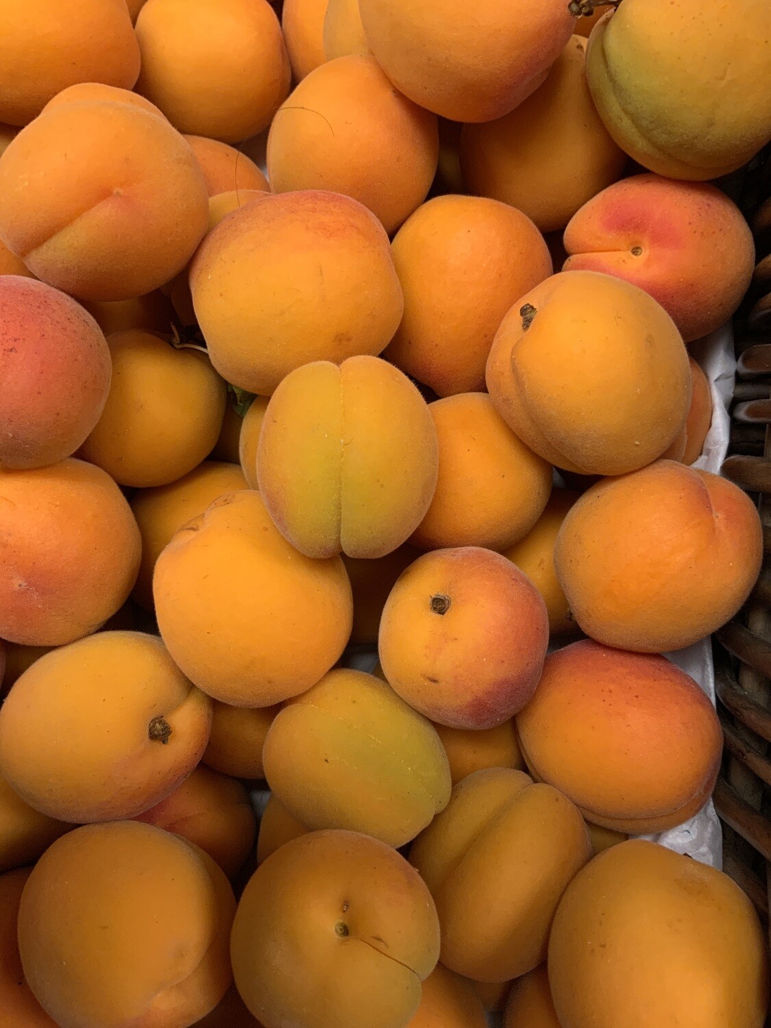Apricots.  Loose.  250g