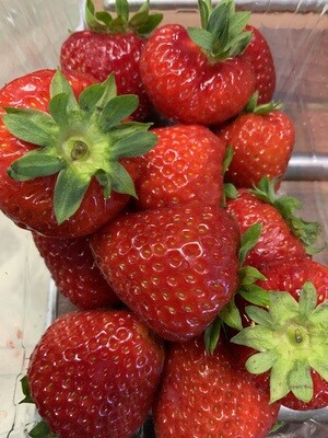 Strawberries.   450g punnets. British