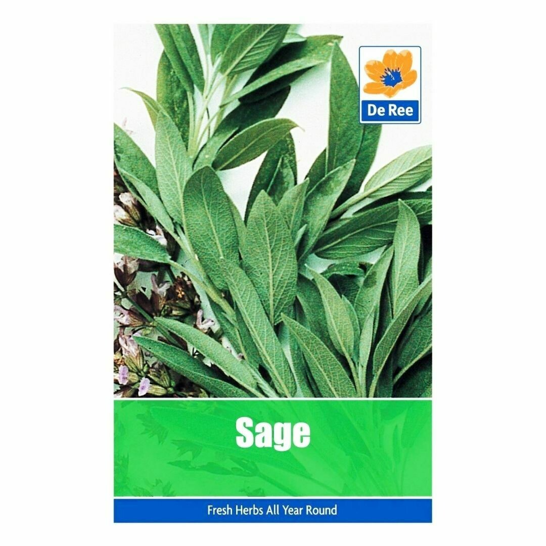 Sage Seeds