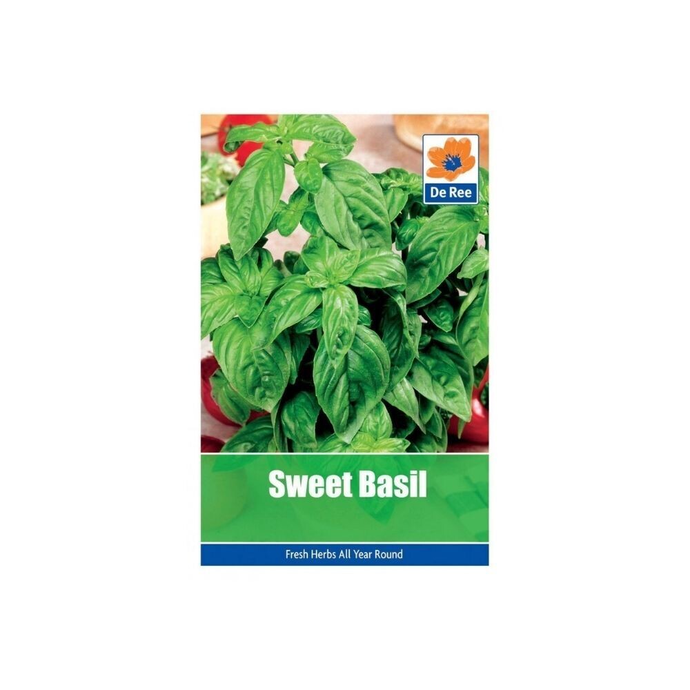 Sweet Basil Seeds (UK)