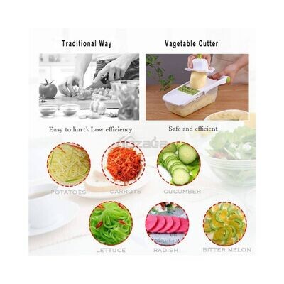 Famous 6 in 1 Slicer with Container