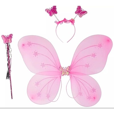 Little Baby Girl Fairy Wings Set
