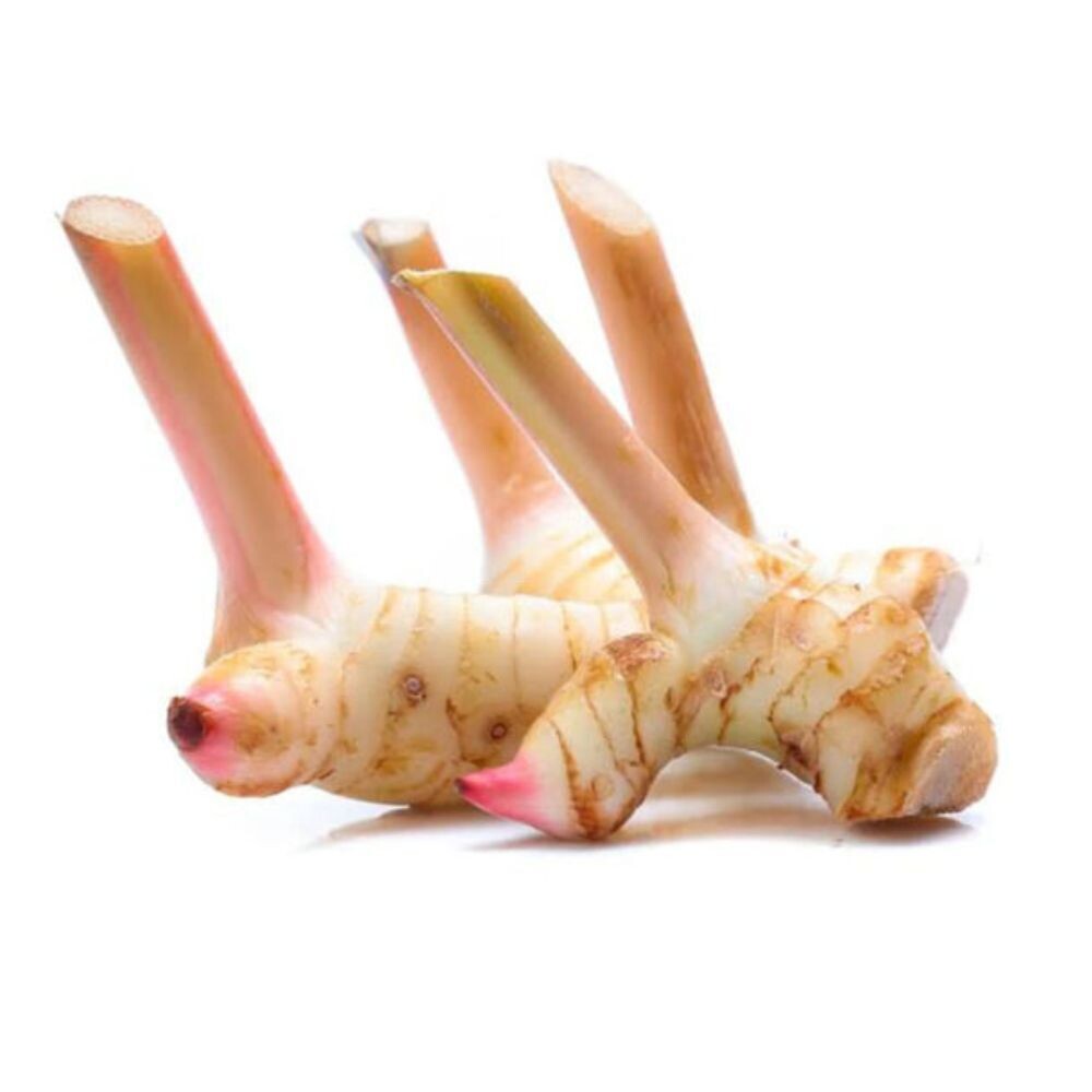 Thai Ginger (Galangal)